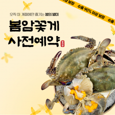 당일조업 서해안 활 봄 암꽃게 1kg(조업 후 순차출고)